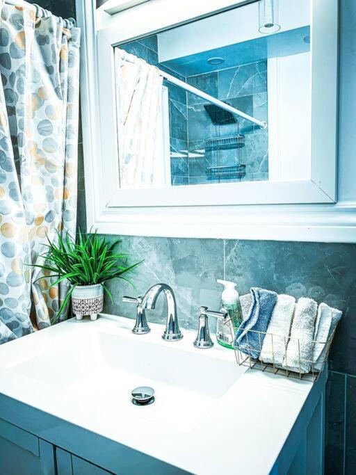 Comfortable 3Br, 1 Bath Close To The Falls Niagara Falls Eksteriør bilde